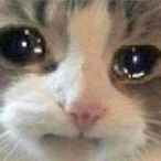 BugaMeister's Avatar'