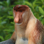 rexuletz's Avatar'