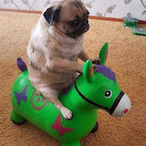 TinnyTuna's Avatar'