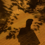 BetterCall_Wiki's Avatar'