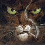 Blacksad39's Avatar'