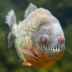 EllaLangleyBF's Avatar'
