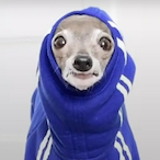 FunkyMonke14's Avatar'