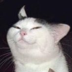 Hidden-Derp's Avatar'
