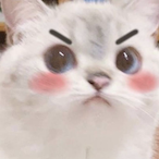 WochuWong.RSJ's Avatar'