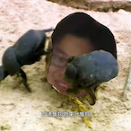 gary347's Avatar'
