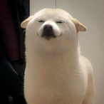 icevictim78's Avatar'