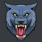 ranger_nr's Avatar'