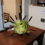 LT._LETTUCE_'s Avatar'