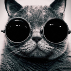 ok_david's Avatar'