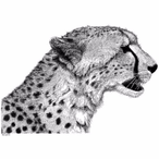 Intohxicatedd's Avatar'