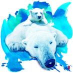 womin72's Avatar'