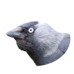 Rethonn's Avatar'