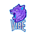 V1BE-.'s Avatar'