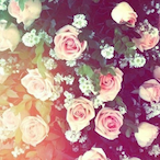 Schoppiii_'s Avatar'