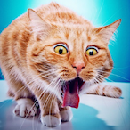 Goontorollr's Avatar'