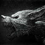 SilverWNTR's Avatar'