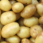 potatoman998's Avatar'