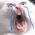 kurqkamo's Avatar'