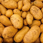 Potato_6's Avatar'