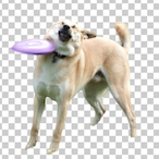 edgar1435's Avatar'