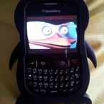 dzsungelfoci's Avatar'