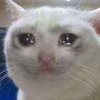 ThiccCoward's Avatar'