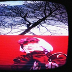 denewulf's Avatar'