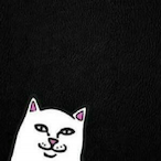 Szucsi17's Avatar'
