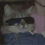 p5mz's Avatar'