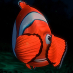 Bounask's Avatar'