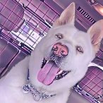 Cloudgaming1015's Avatar'