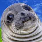 What_The_Phoque's Avatar'