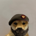 RedTimThomas's Avatar'