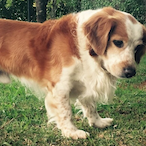 Balderich_'s Avatar'