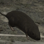 Fentilators's Avatar'