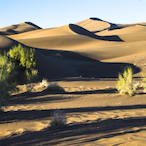 huohua2000's Avatar'