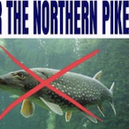 supdudes57's Avatar'