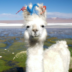 Farmosa9's Avatar'