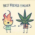 BOG.FBoy's Avatar'