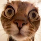 GrandRegentPaul's Avatar'