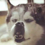 Motions buns's Avatar'