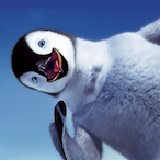 ATKFoolish's Avatar'