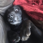 Kay-Ritagawa's Avatar'