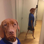 snuifduif's Avatar'