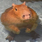 Zmiel_'s Avatar'