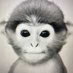 Ryblckyy2x's Avatar'