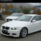 RamboMango.TBD's Avatar'