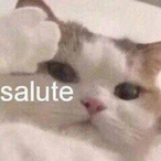 Salute.Aaron's Avatar'