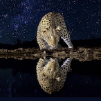 ZERO.AIM..'s Avatar'